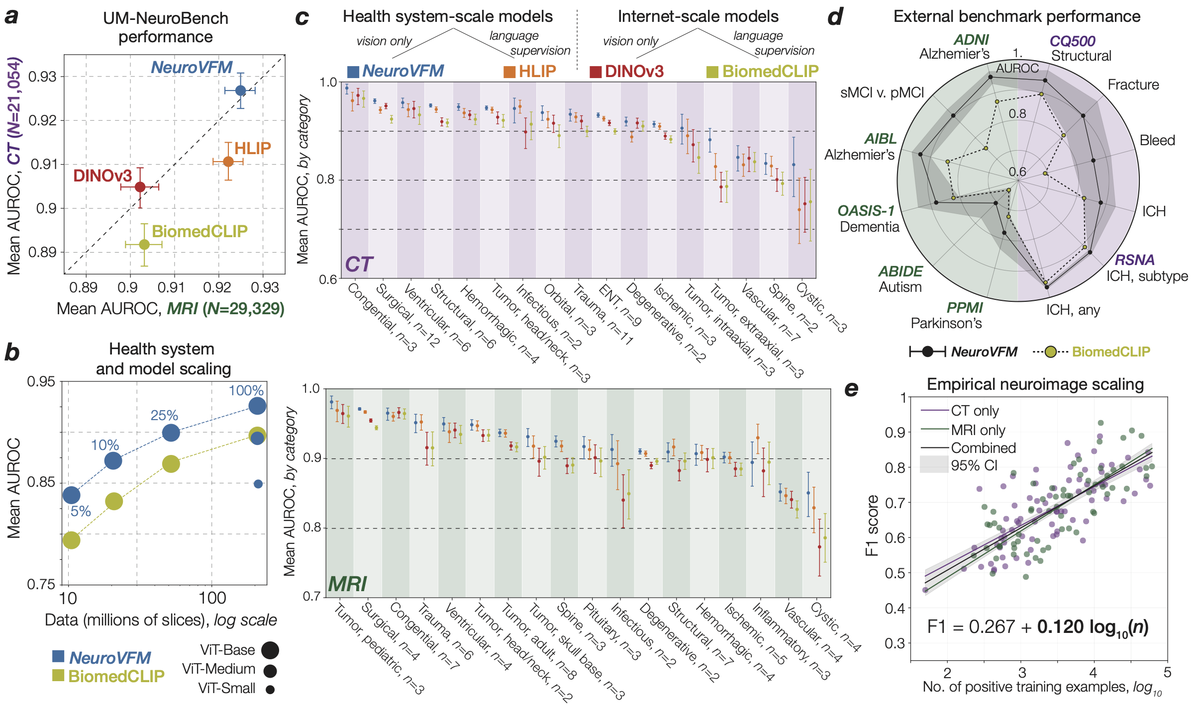 NeuroVFM figure